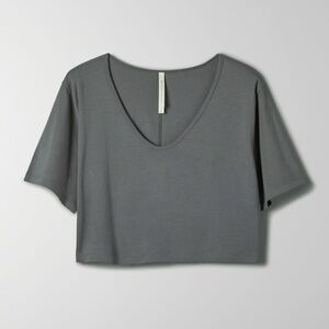 ISO Aritzia The Group Foundation V-Neck Cropped T-Shirt in Grey NWT Size Large